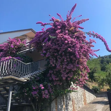 Hotel San Carlo Massa Massa (Tuscany)